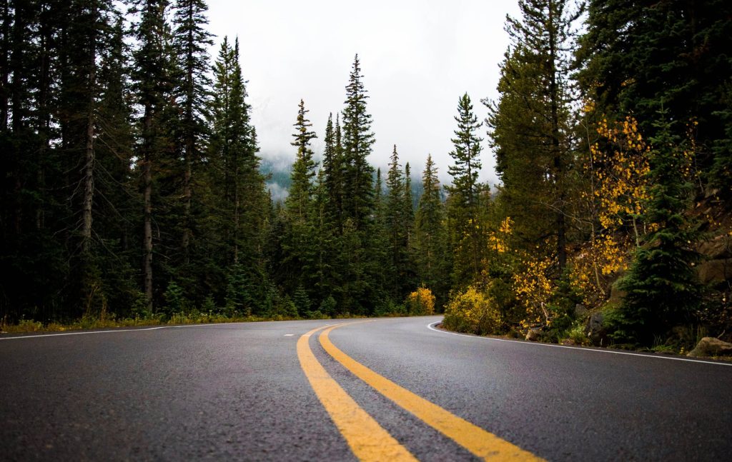 gray and yellow road between forest